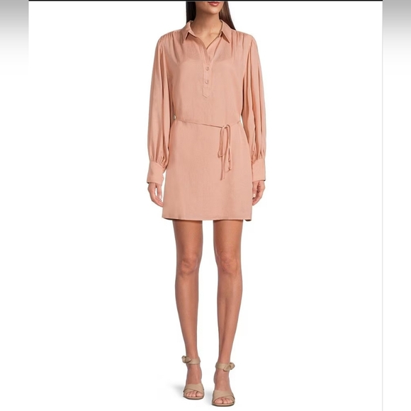 Draped Tie Waist Shift Dress - Picture 1 of 2